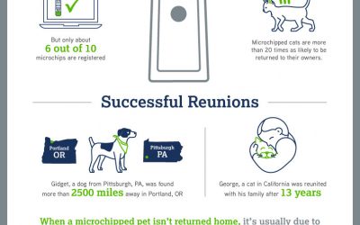 National Check the Chip Day