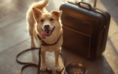 The Complete 2026 Guide to Traveling with Pets